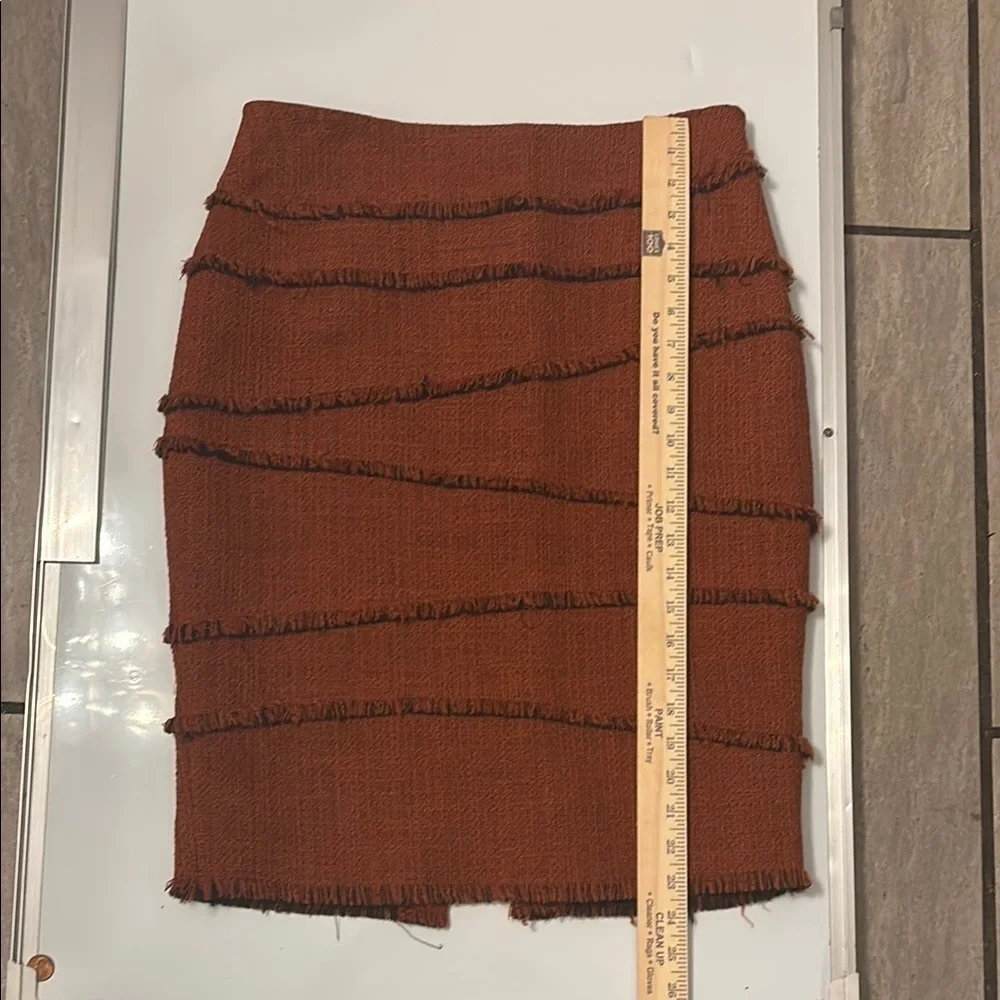 La Fafayette 148 dark orange  Skirt Sz 6